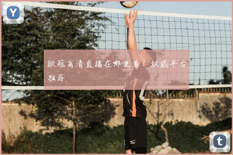 欧冠高清直播在哪里看？权威平台推荐